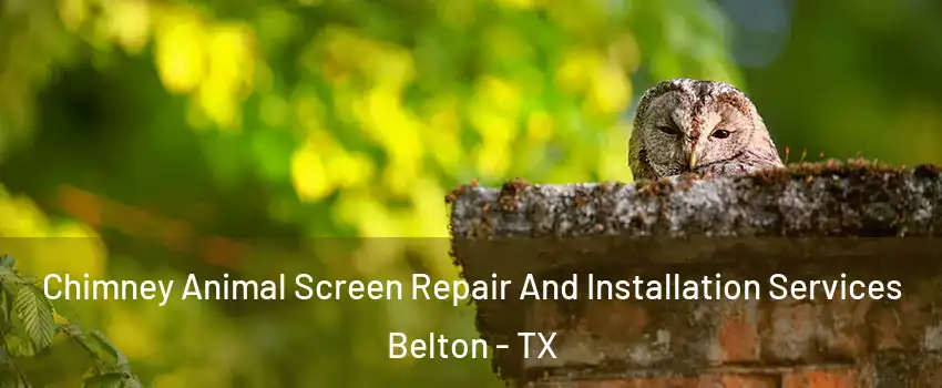  Chimney Animal Screen Repair And Installation Services Belton - TX