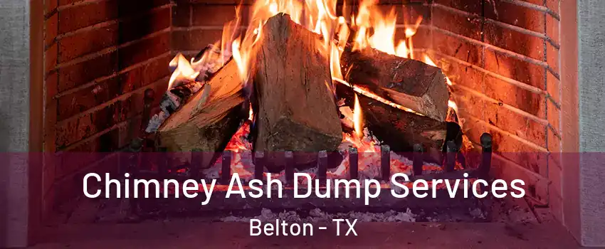  Chimney Ash Dump Services Belton - TX