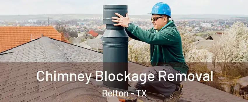  Chimney Blockage Removal Belton - TX