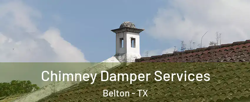  Chimney Damper Services Belton - TX