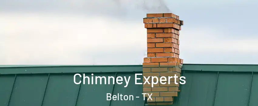  Chimney Experts Belton - TX