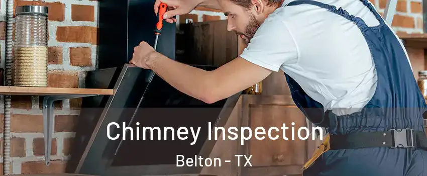  Chimney Inspection Belton - TX