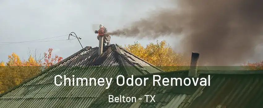  Chimney Odor Removal Belton - TX