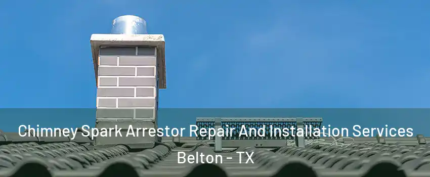  Chimney Spark Arrestor Repair And Installation Services Belton - TX