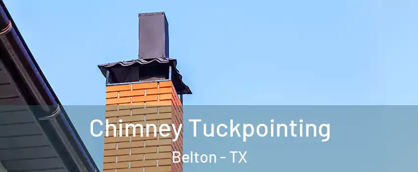  Chimney Tuckpointing Belton - TX