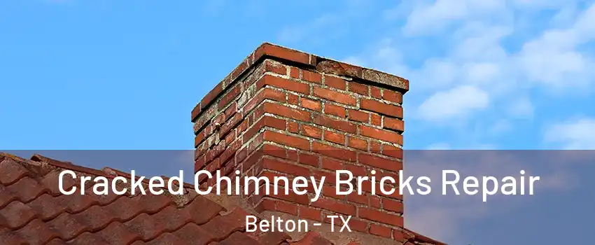  Cracked Chimney Bricks Repair Belton - TX