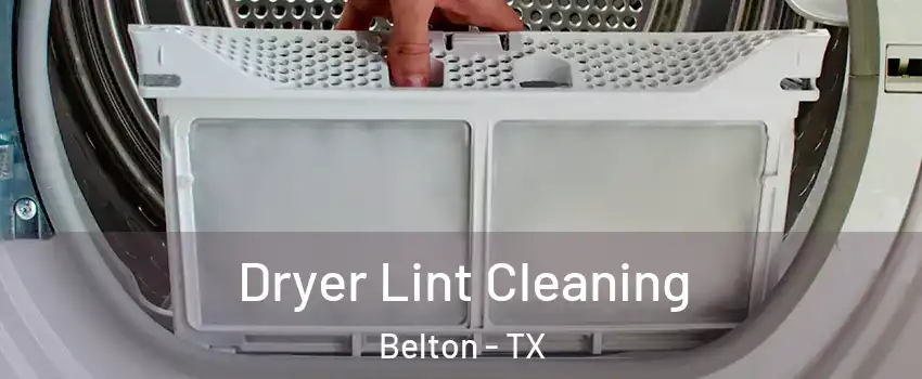  Dryer Lint Cleaning Belton - TX