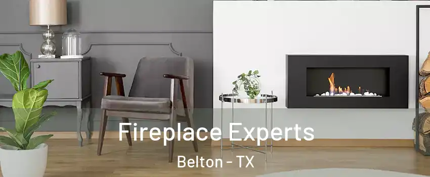  Fireplace Experts Belton - TX