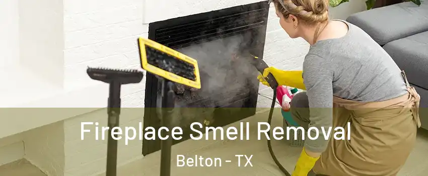  Fireplace Smell Removal Belton - TX