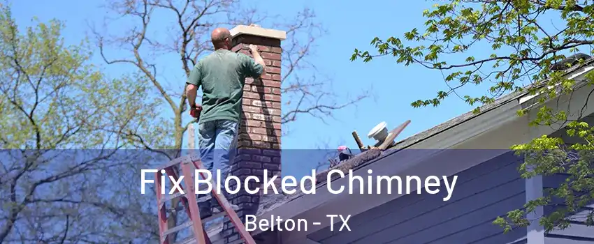  Fix Blocked Chimney Belton - TX