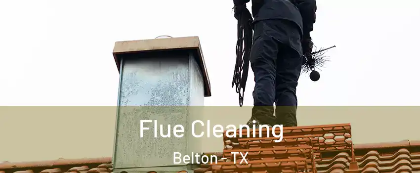  Flue Cleaning Belton - TX