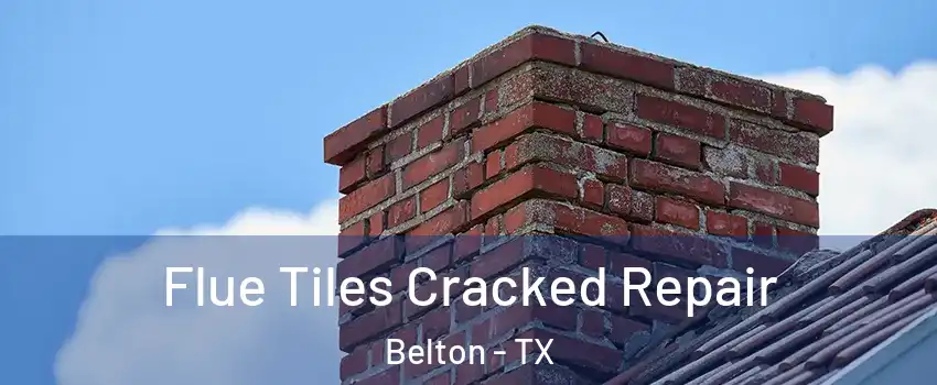  Flue Tiles Cracked Repair Belton - TX