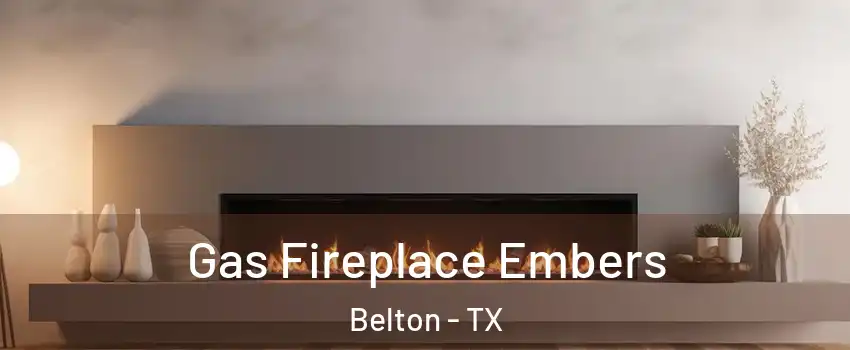  Gas Fireplace Embers Belton - TX