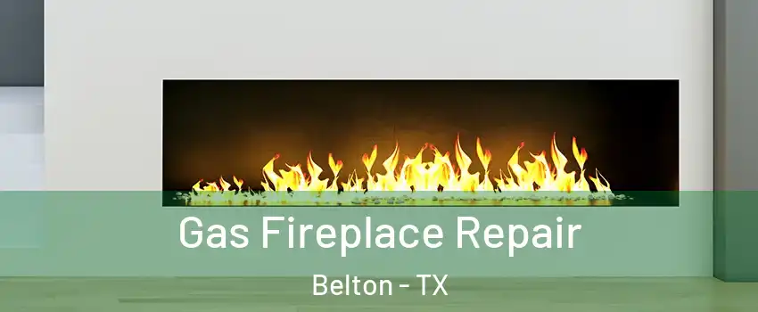  Gas Fireplace Repair Belton - TX