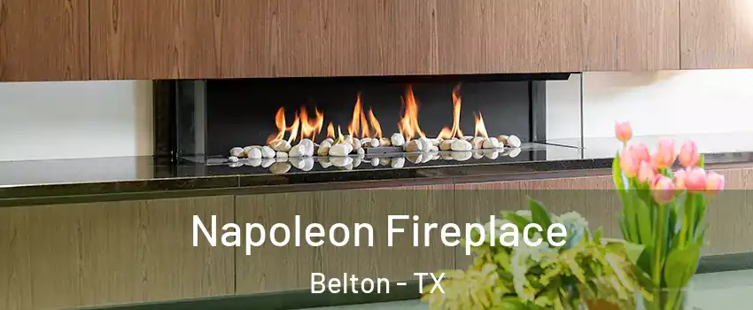  Napoleon Fireplace Belton - TX