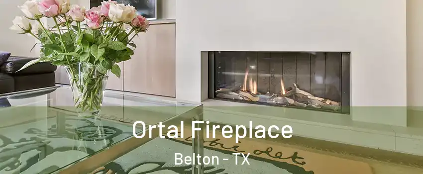  Ortal Fireplace Belton - TX
