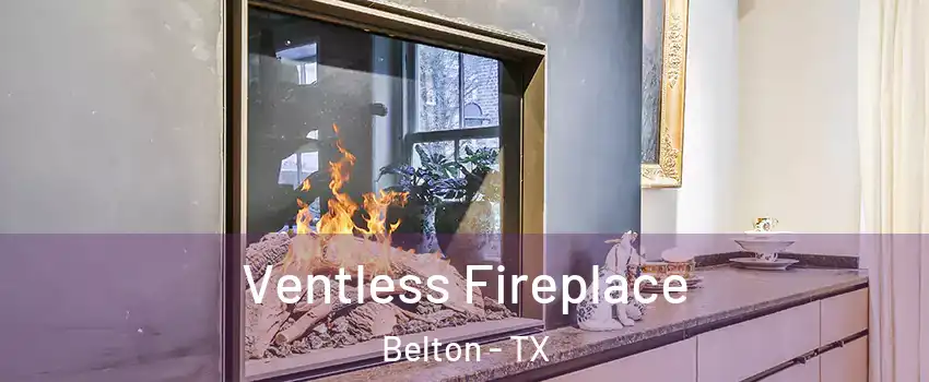  Ventless Fireplace Belton - TX